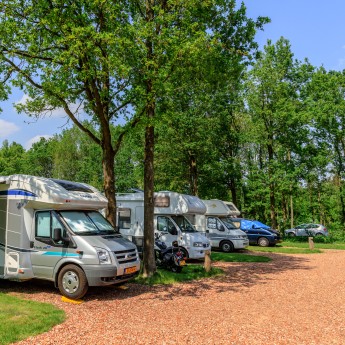 camperplaats Drents-Fries Wold Camping De Reeenwissel Hoogersmilde