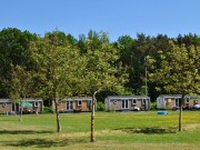 6 persoons chalet  Camping De Reeenwissel Hoogersmilde